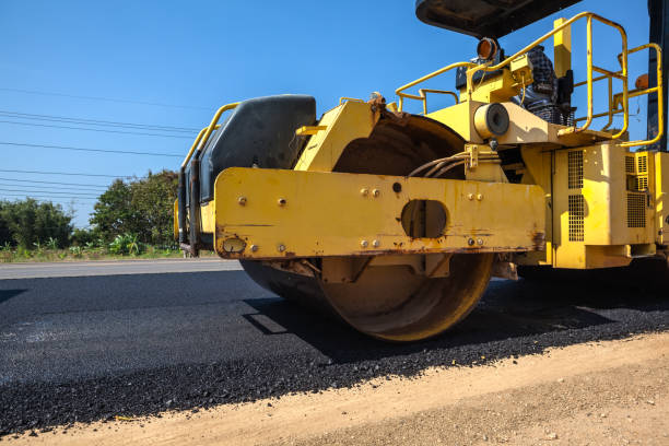 Best Professional Driveway Pavers  in Lakewood, SC